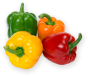 iShopping - Diy Store 4 Different Varieties Capsicum Seeds (0050)