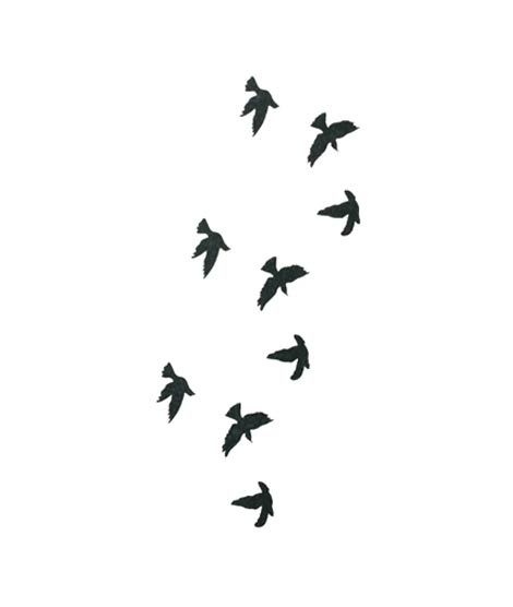 iShopping - Ferozi Traders Fly Birds Tattoo Sticker