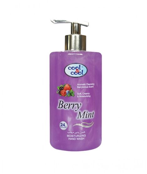 iShopping - Cool & Cool Berry Mint Hand Wash - 500ml (H1060)