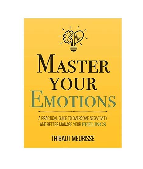iShopping - Master Your Emotions Book