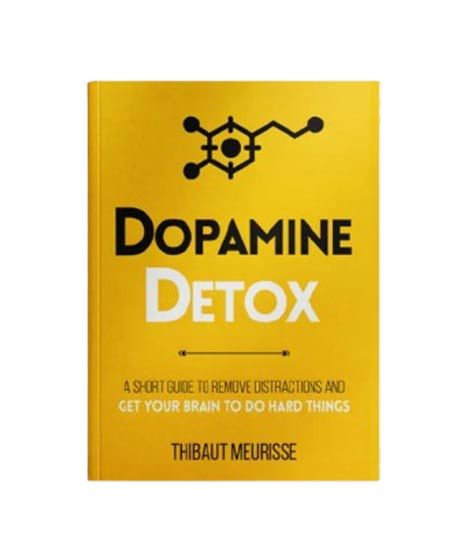 iShopping - Dopamine Detox Book