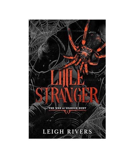 iShopping - Little Stranger Book