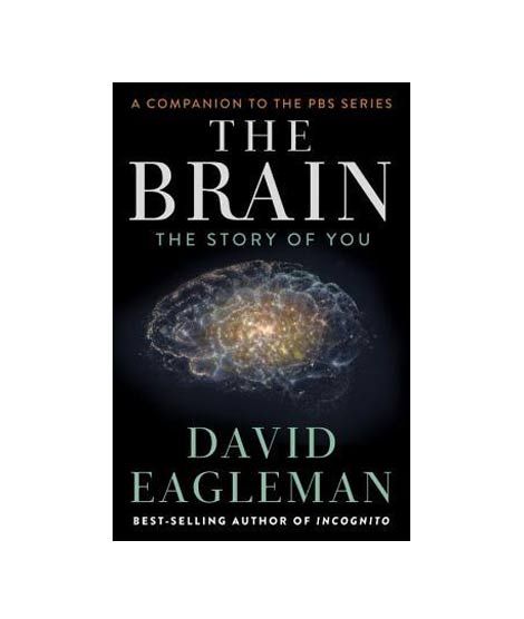 iShopping - The Brain The Story Of You Book