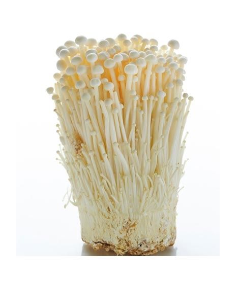 iShopping - Husmah Enoki Mushroom Seeds