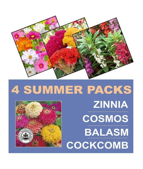iShopping - DIY Store Zinnia Cosmos Balasm Cockcomb Flower Seeds