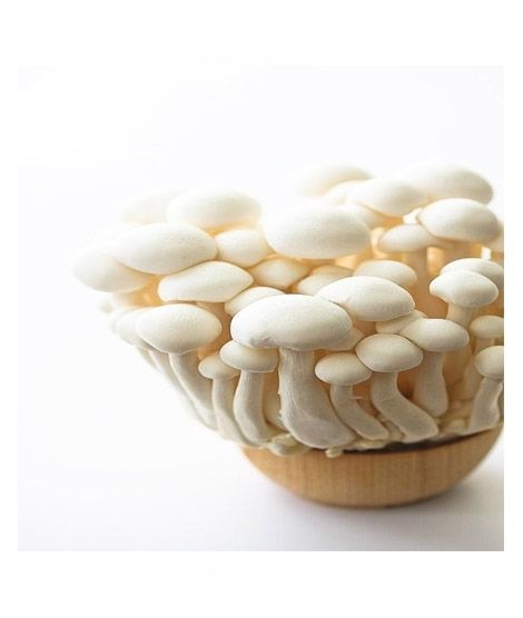 iShopping - HusMah Enoki Mushroom Seeds