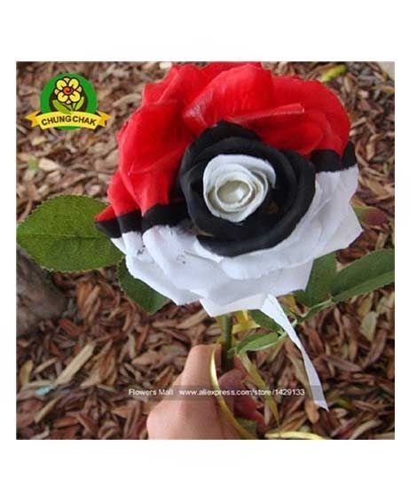 iShopping - HusMah Rare Tri Color Rose Seeds