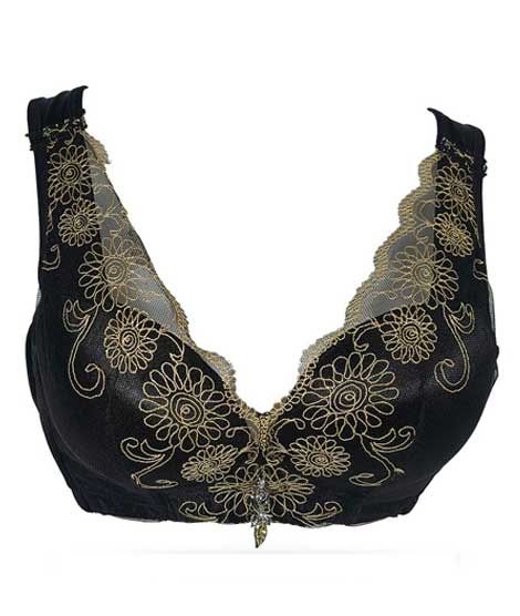 iShopping - Purple Bag Fancy Golden Net Lace Wireless Double Padded Full Coverage Bra (0019)