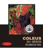 iShopping - Diy Store Coleus Rainbow Mix Plant Seeds (0052)