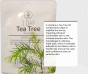 iShopping - Illusion Store Tea Tree Mask