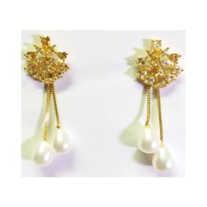 Desire Fashion Designer Earring For Women (110210112)