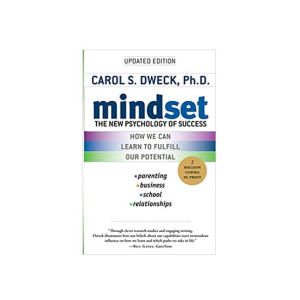 Mindset Book