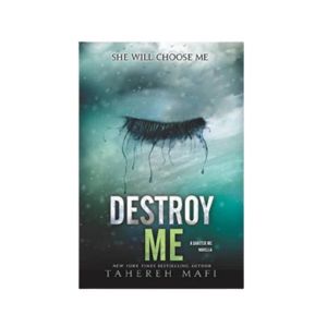 Destroy Me Book