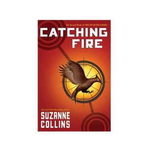 Catching Fire Book