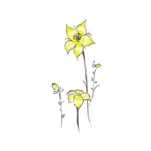 Ferozi Traders Yellow Blossom Flower Tree Tattoo Sticker