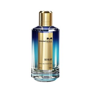 Mancera So Blue Eau de Parfum For Unisex 120ml