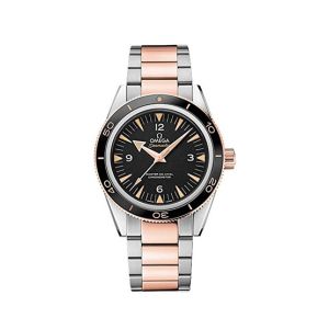 Omega Seamaster Men's Watch Two-Tone (233.20.41.21.01.001)