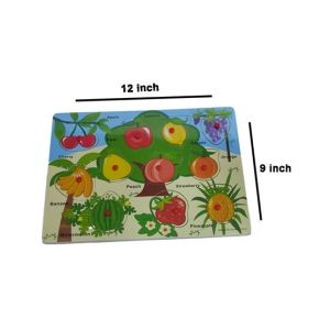 Planet X Learning Fruit Wooden Puzzle For kids (PX-11246)