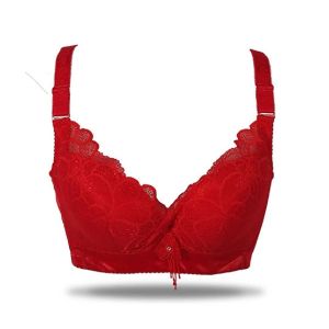 Purple Bag Fancy Lightly Padded Wired less Bra For Women (OFW0023)