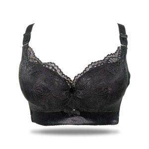 Purple Bag Lace Net Soft Padded Wired less Bra For Women (OFW0035)