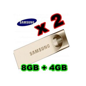 Samsung 4GB & 8GB Pack Of 2 Flash Drive USB 3.0 Silver