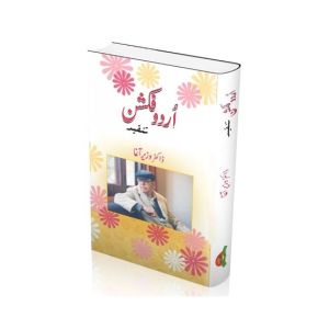 Urdu Fiction Tanqeed Book