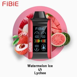 FIBIE WATERMELON ICE & LYCHEE 15000 Puffs