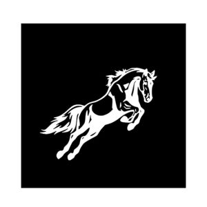 Wish Hub Horse Jumping Car Sticker White
