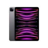 Apple iPad Pro 11" 256GB Wi-Fi M2 Chip Space Gray (2022)