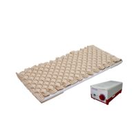 Certeza Therapy Air Mattress with Pump (AM-205)