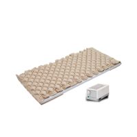 Certeza Therapy Air Mattress with Pump (AM-207)