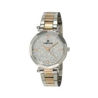 Daniel Klein Stainless Steel Watch For Women Two-Tone (DK12083-1)