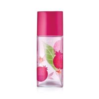 Elizabeth Arden Pomegranate Tea Eau De Toilette For Women 100ml