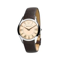 Emporio Armani Stainless Steel Women's Watch Braun (AR2042)