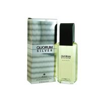 Quorum Silver Eau De Toilette For Men 100ml