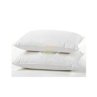 Lucky Quilts Polyester Fiber Pillow - Pack of 2