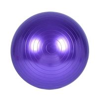 Sports Co Fitness Gym Ball 75cm (0012)