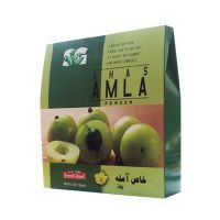 Saeed Ghani Khas Amla Powder (100gm)