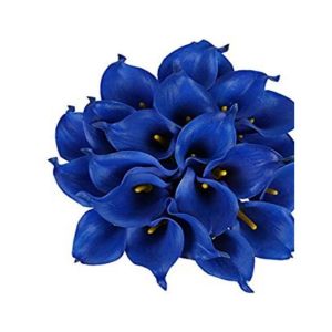 HusMah Rare Calla Lily Seed- Blue