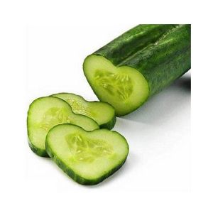 HusMah Japanese Bonsai Cucumber Seeds