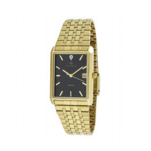 Accurist Men's Watch Gold (MB955B)