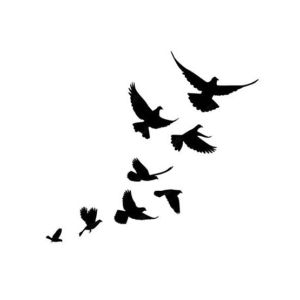 M-Mart Fly Birds Temporary Tattoo Sticker