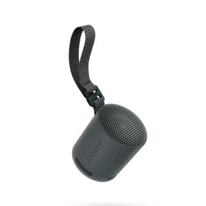 Sony Portable Wireless Speaker (SRS-XB100)