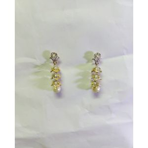 Desire Fashion Designer Earring For Women (112250114)