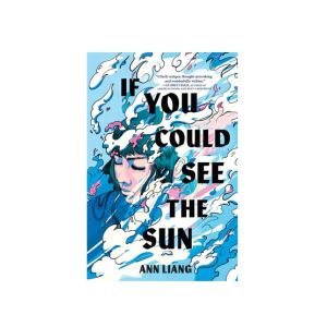 If You Could See The Sun Book