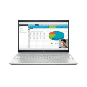 HP Pavilion 15.6