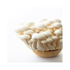 HusMah Enoki Mushroom Seeds