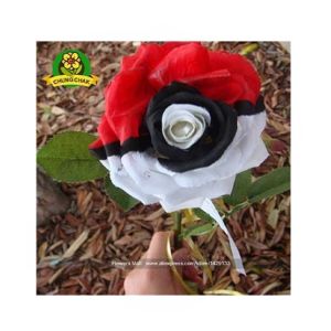 HusMah Rare Tri Color Rose Seeds