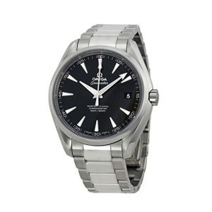 Omega Seamaster Automatic Men's Watch Silver (231.10.42.21.01.003)