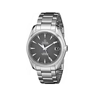 Omega Seamaster Men's Watch Silver (231.10.39.21.06.001)